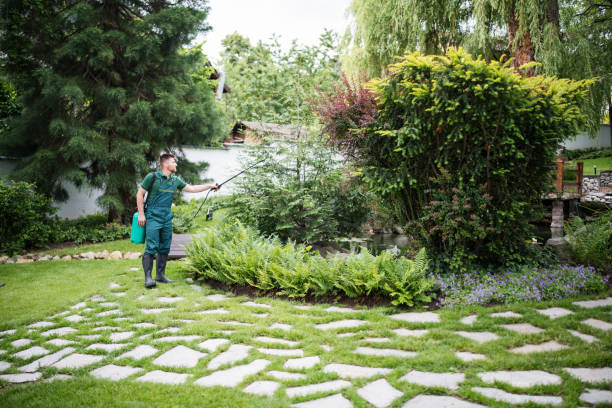Best Flea Control Services  in Davis, CA