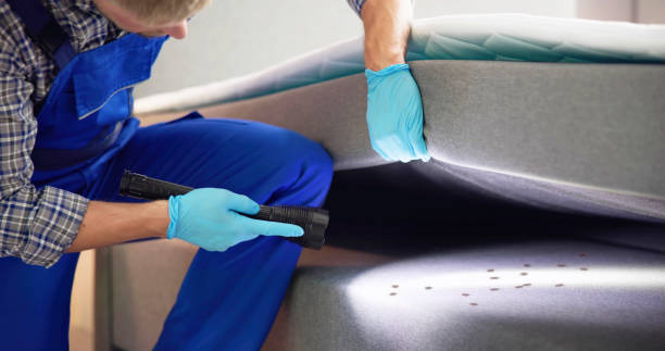  Davis, CA Pest Control Pros