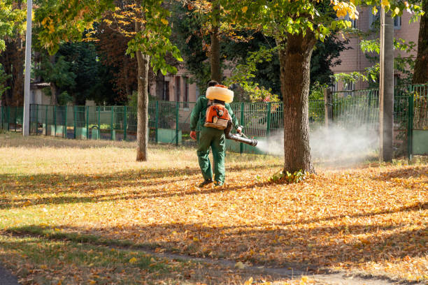 Reliable Davis, CA Pest Control Solutions