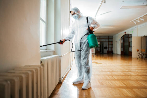 Best Affordable Pest Control Services  in Davis, CA