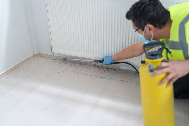 Best Pest Prevention Services  in Davis, CA