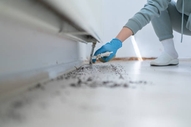 Wildlife Control Services in Davis, CA