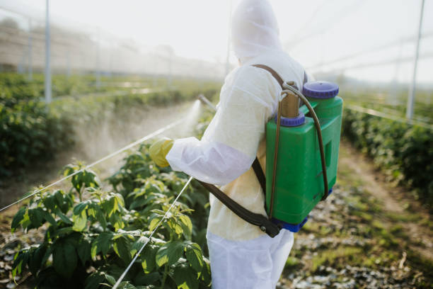 Best Pest Control Near Me  in Davis, CA